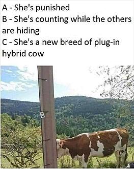 2.jpeg