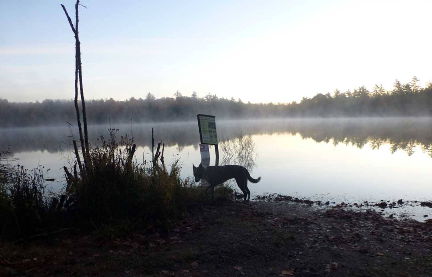 wallylake0757.jpg