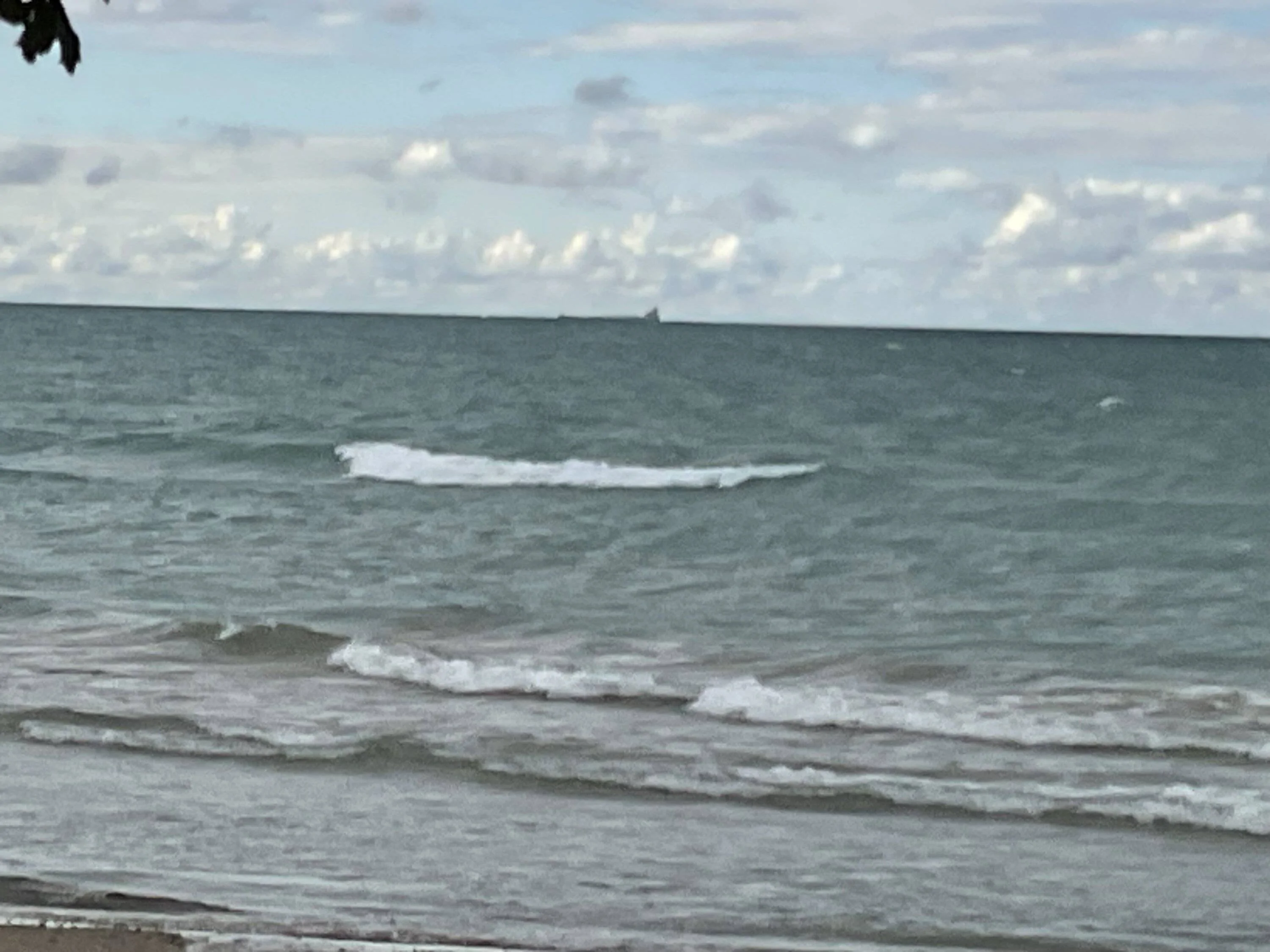 IMG_5262.jpeg