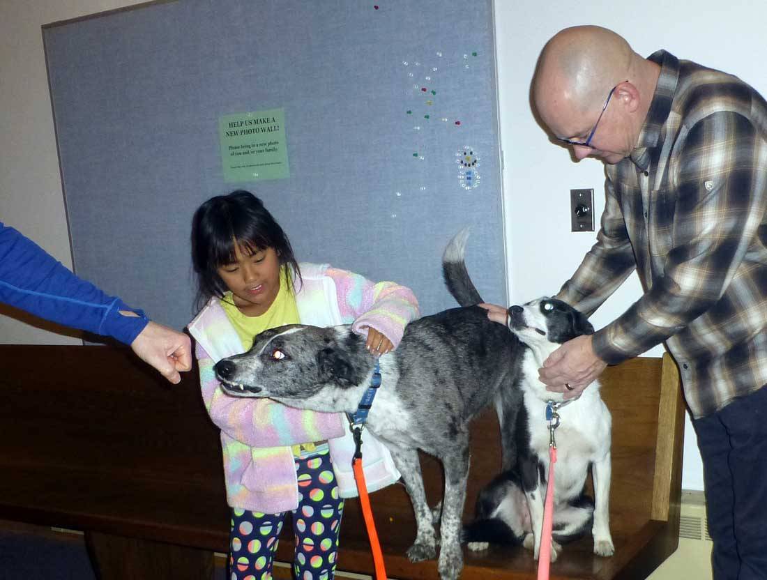dogschurch972.jpg