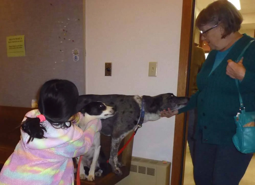 dogschurch73.webp