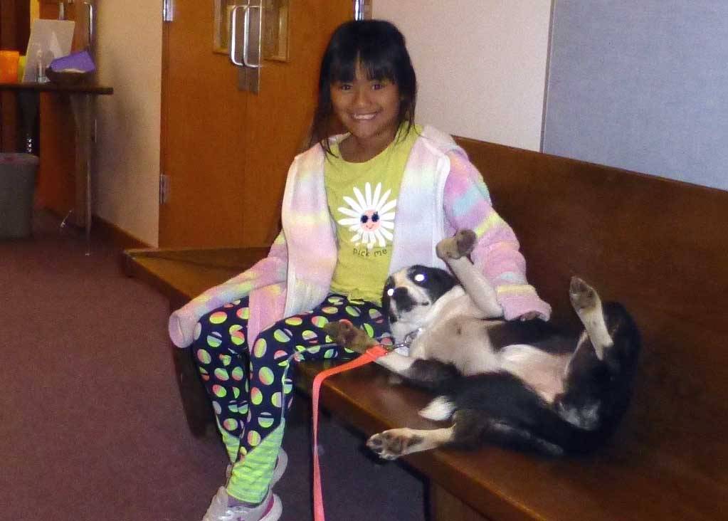 dogschurch0974.jpg