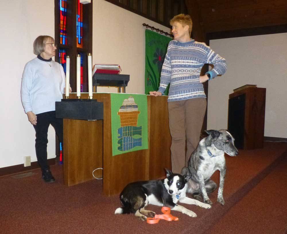 dogschurch981.jpg