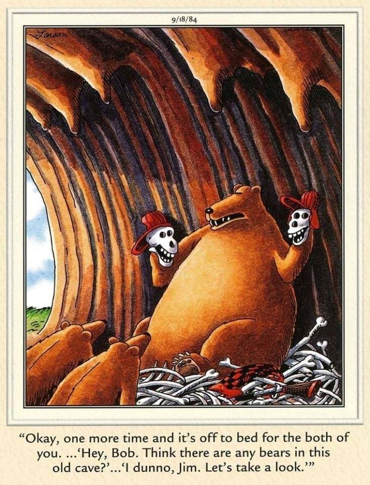 Bears.jpg