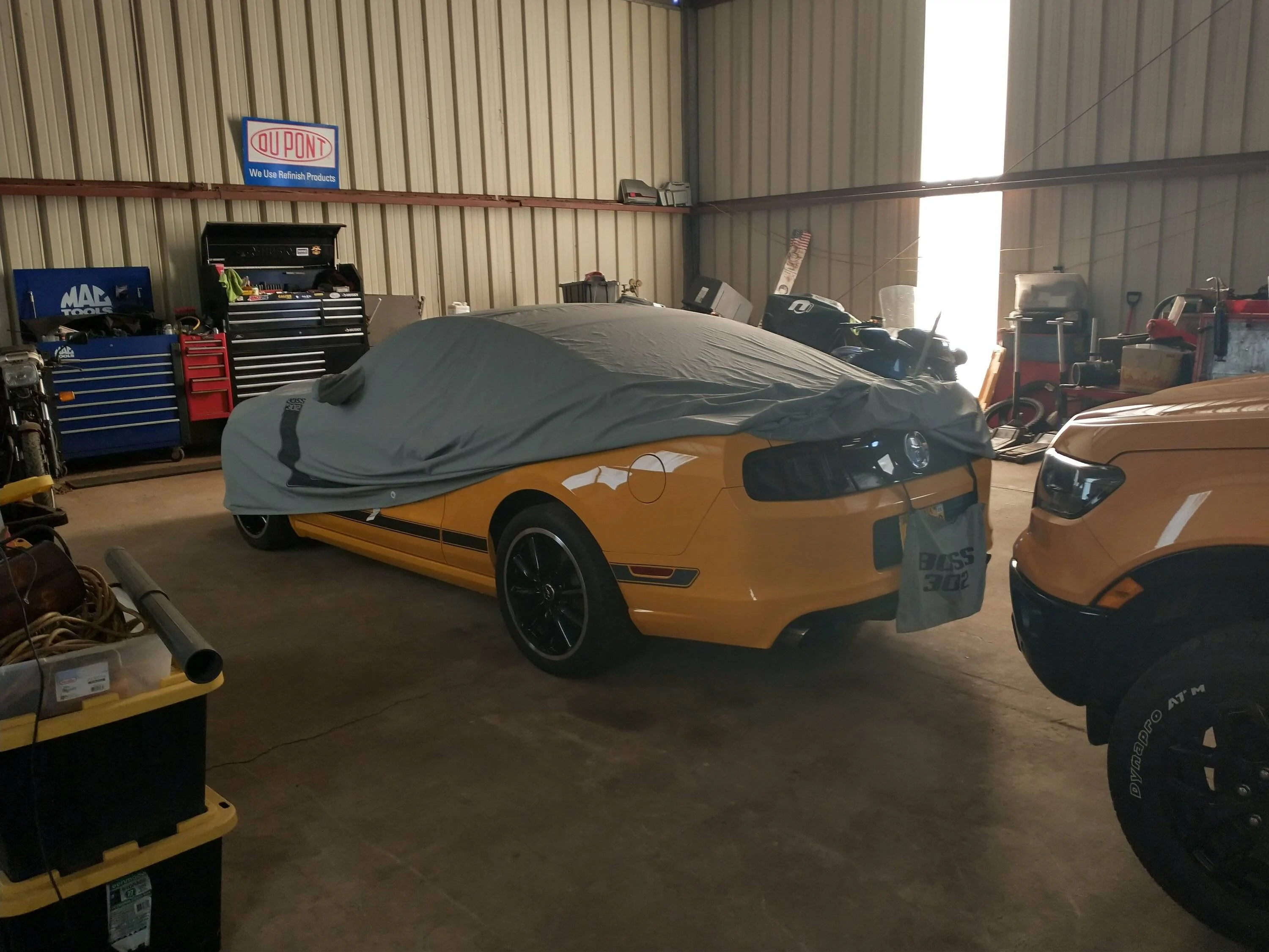 IMG_20231113_144704098_HDR.webp
