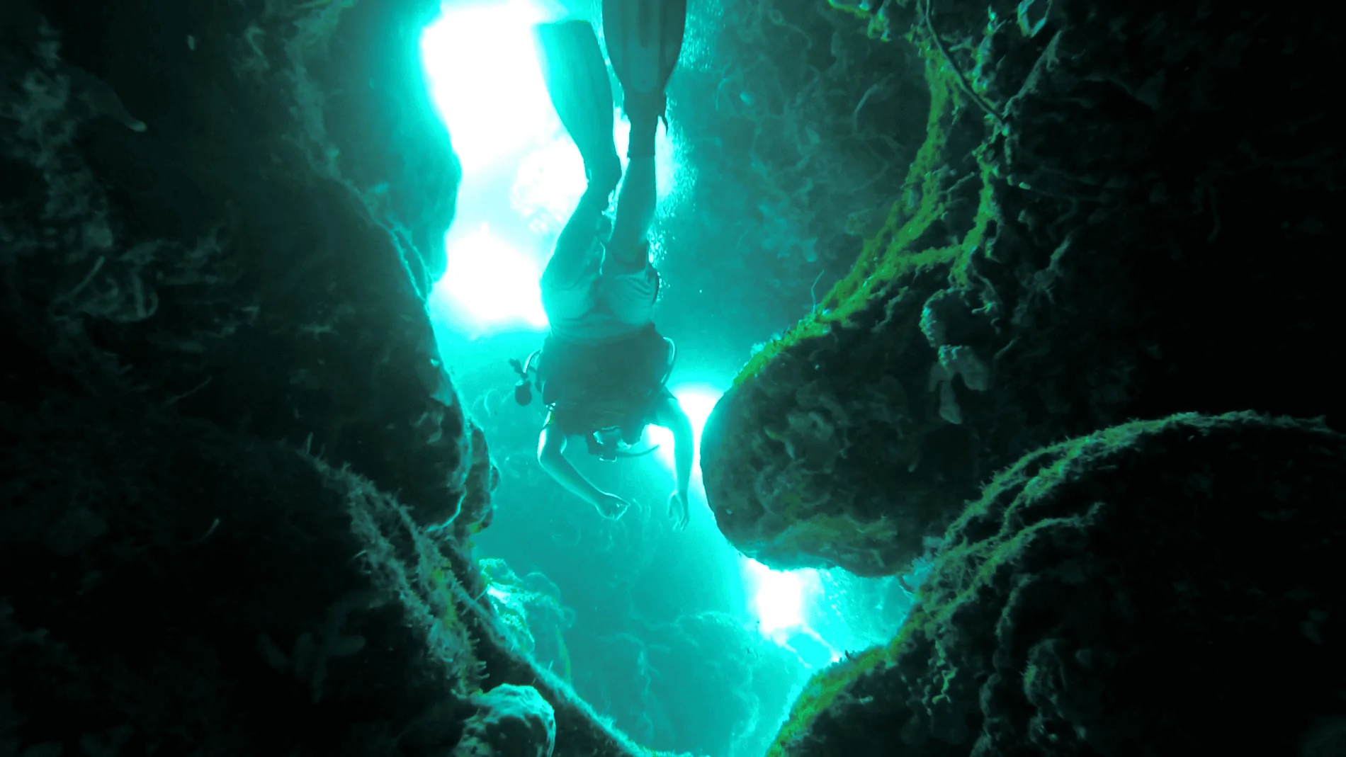 Screenshot (24).webp