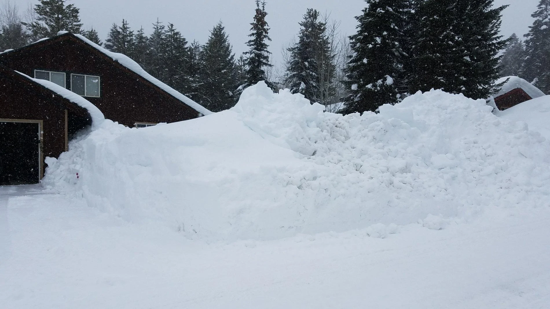 yard snow.webp