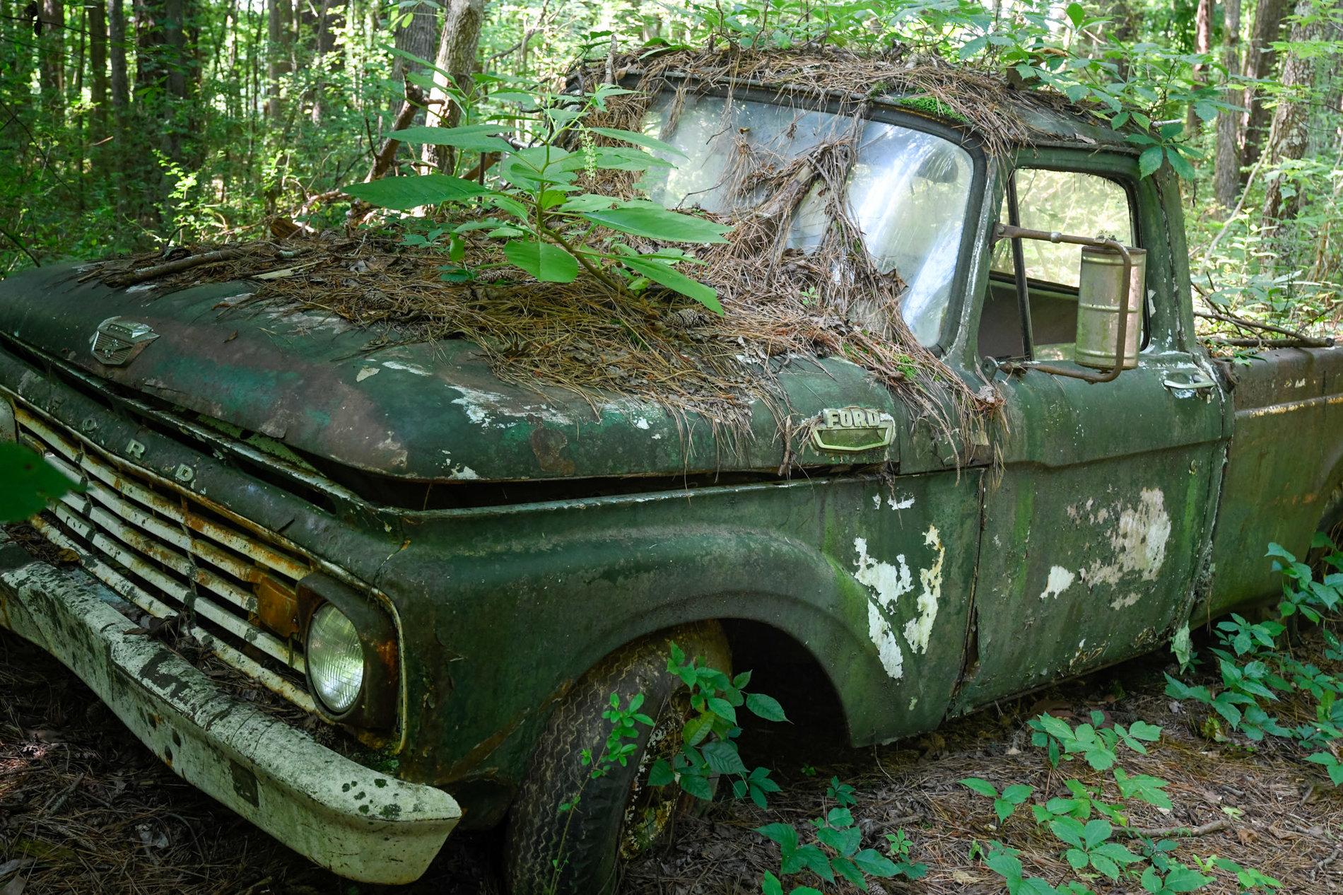 _DSC5265.jpg