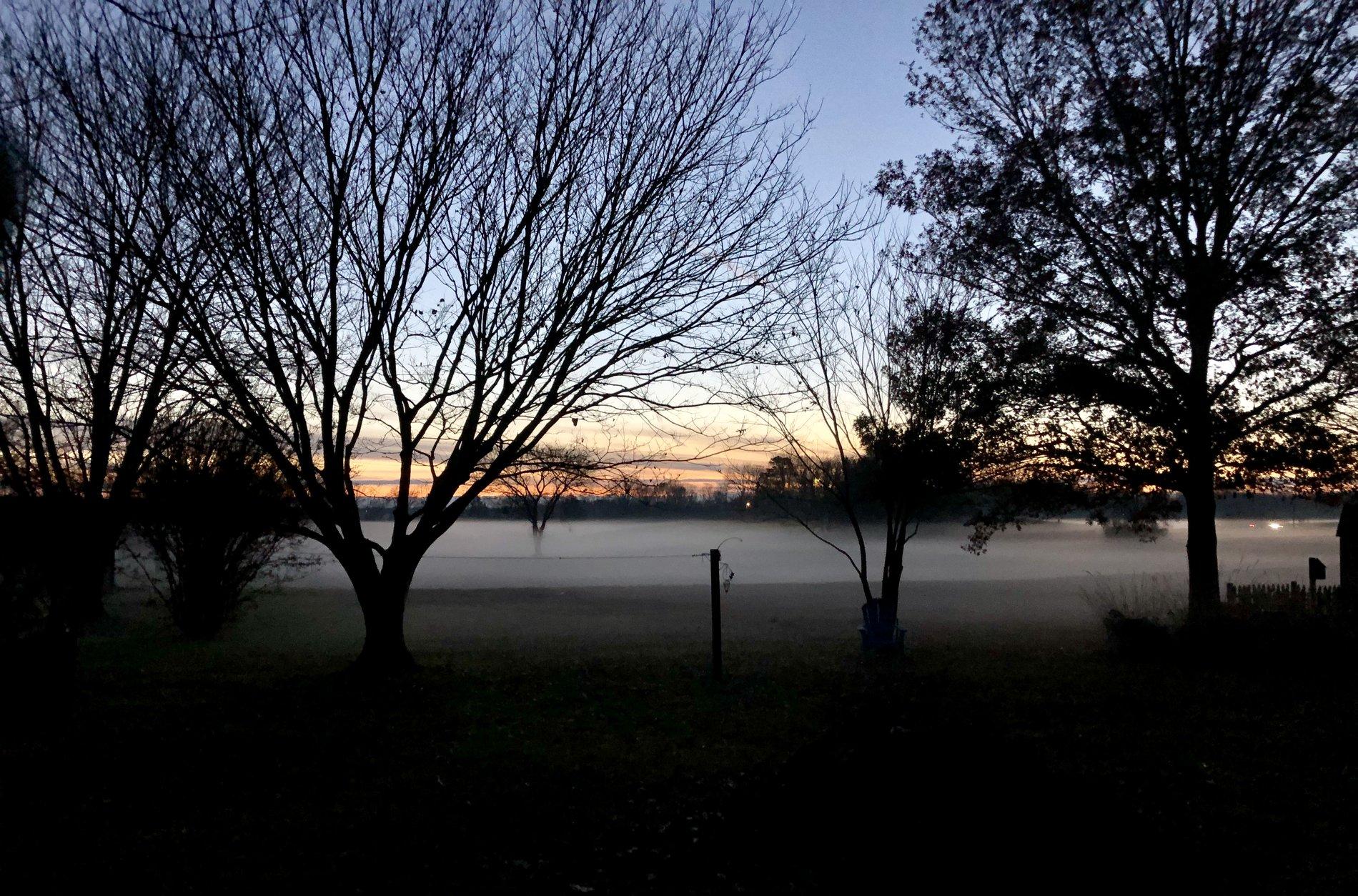 00C185D2-130D-4239-B0C0-373EC1A87A4E.jpeg