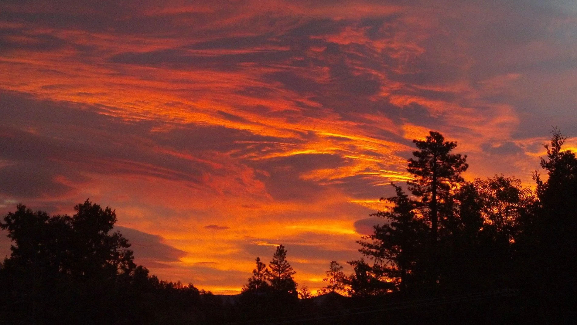sunrise2.webp