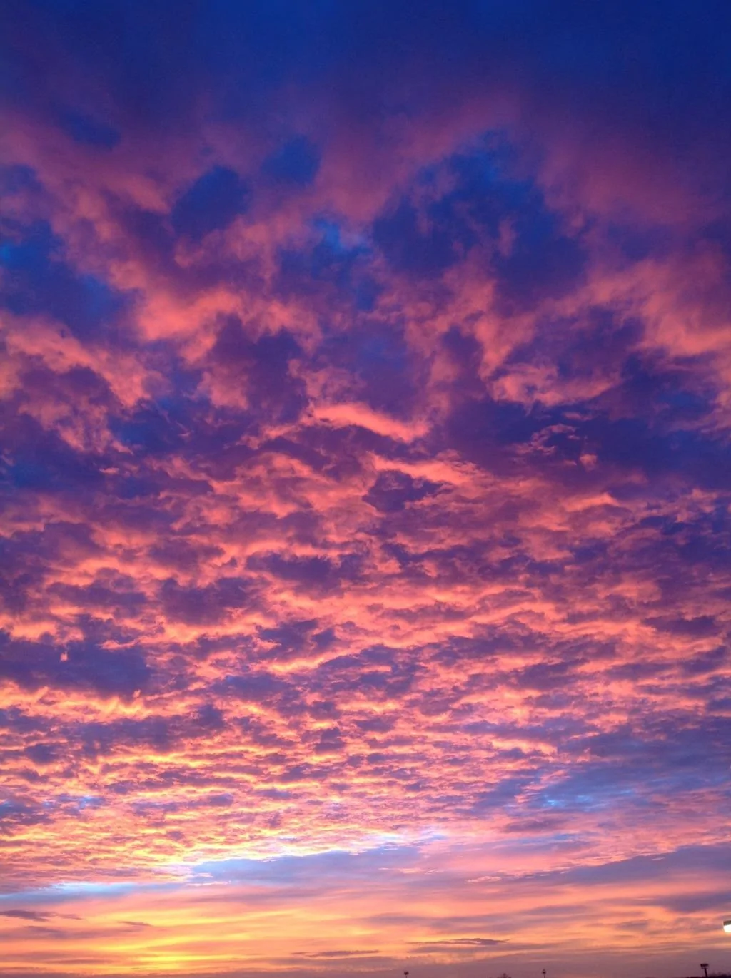 7402F2B1-F304-435F-8989-6722BB426BF7.webp