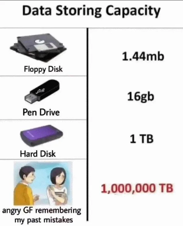 Data Storage.webp