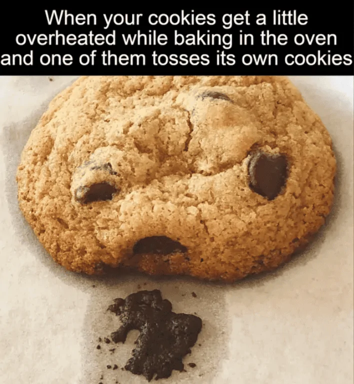 wholesome-memes7.webp