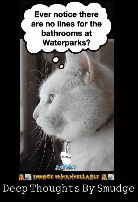 Waterparks.webp