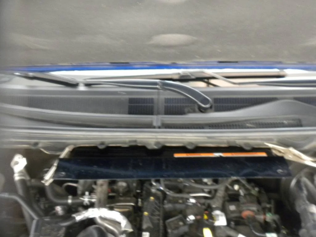 DSCN9642.webp