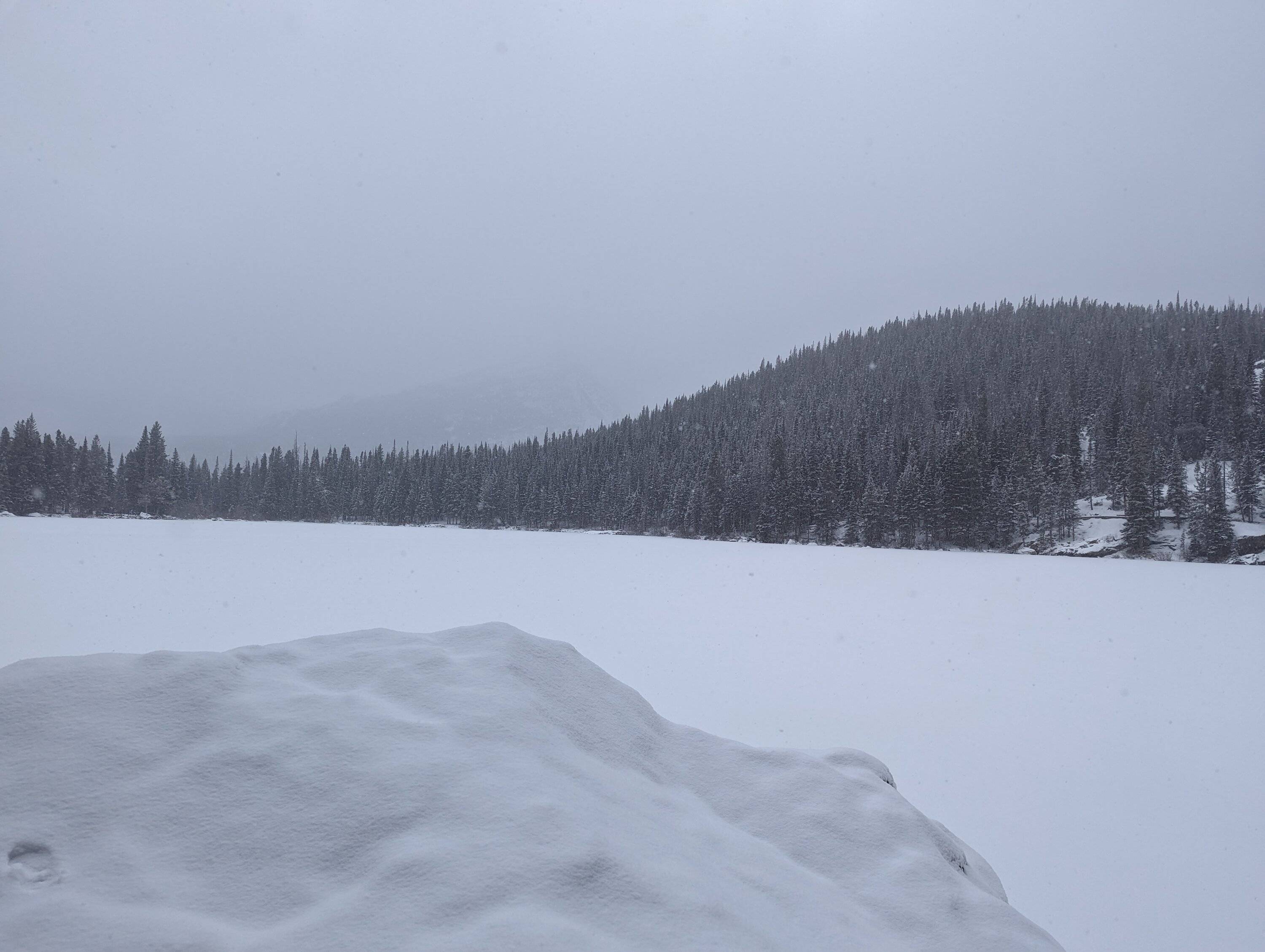 PXL_20231120_180225084.jpg
