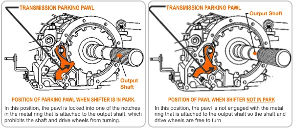 e9686848-pawl-in-notin-park_0go07a0gn079000000001-1.png