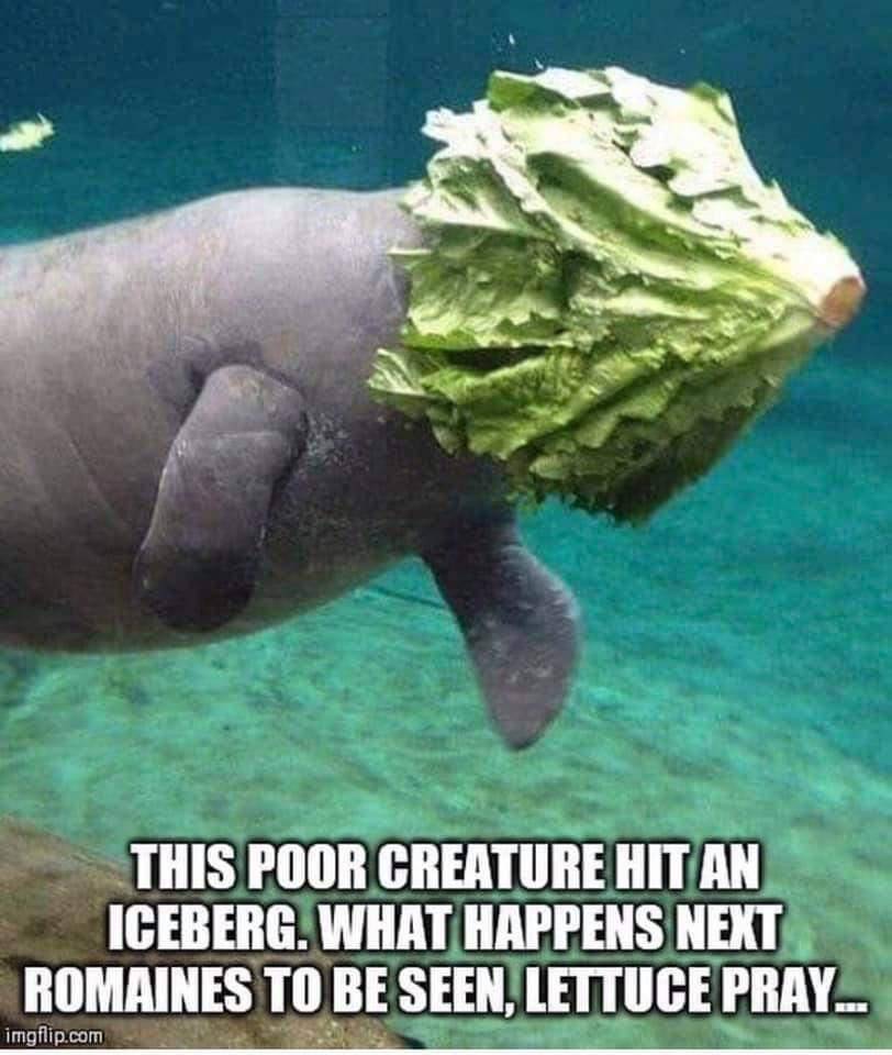 1571175262_fb_img_1571175227299_mmthumb.jpg