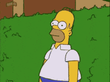 IMG_5446.gif