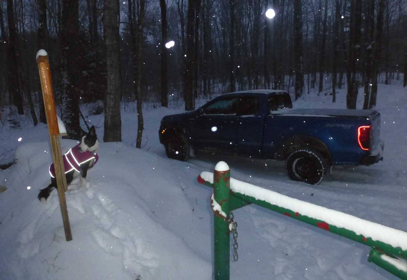 rangersnow0207.jpg