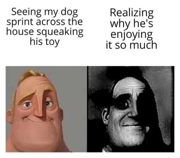 Squeaky Toy.webp