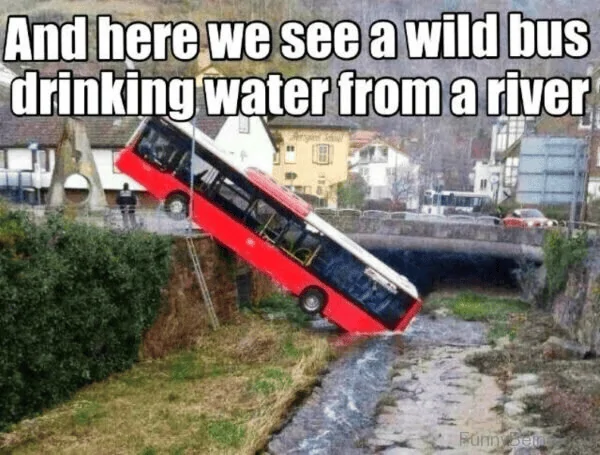 1701279588780.png