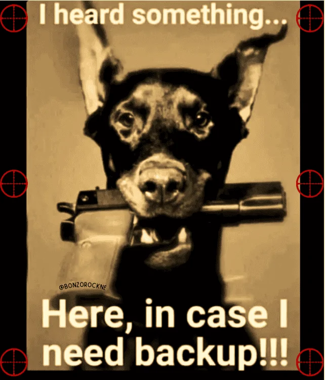 Good Boy.webp