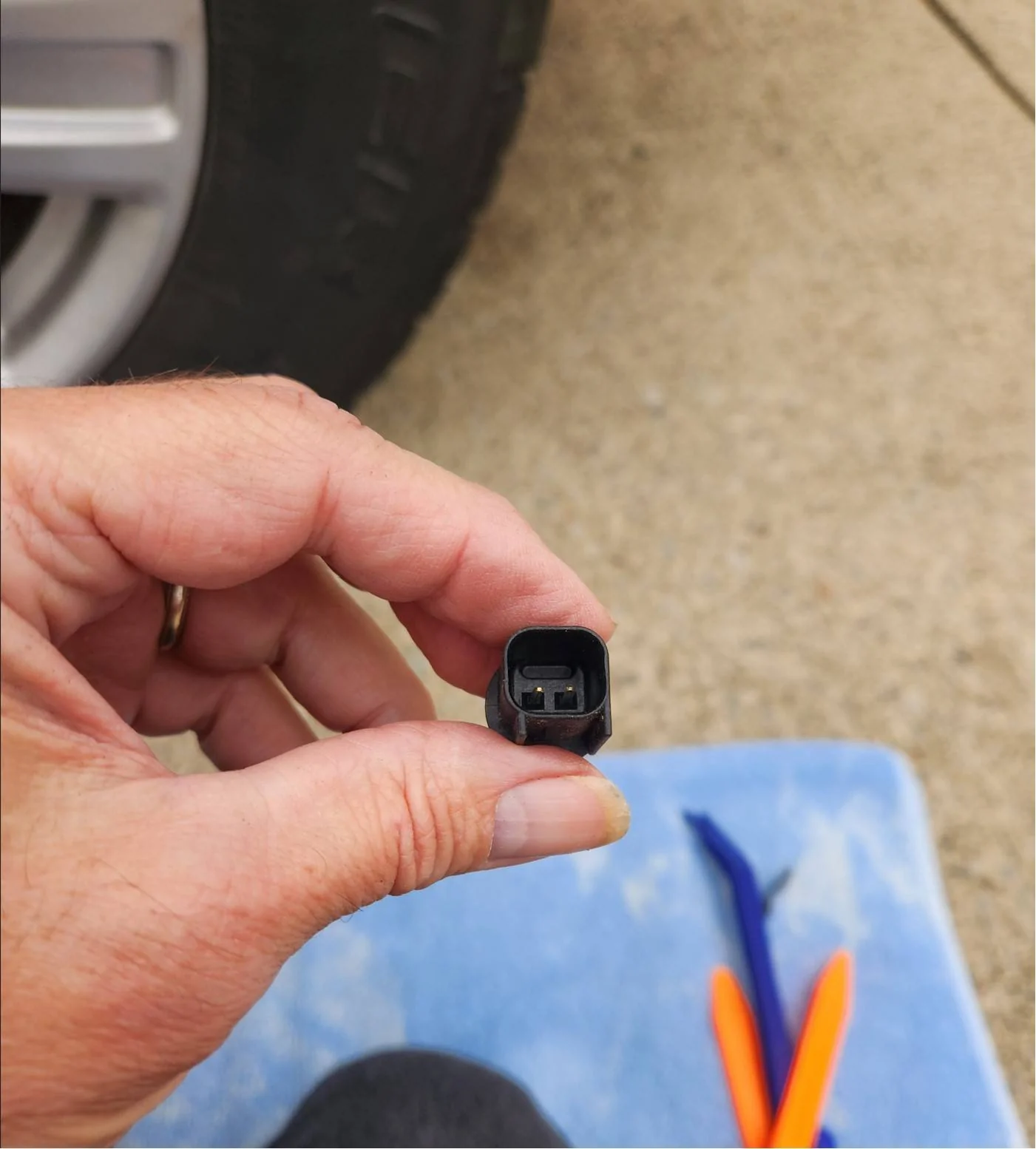 bulb socket into connector.webp