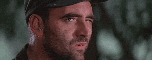 IMG_20231205_142510.gif
