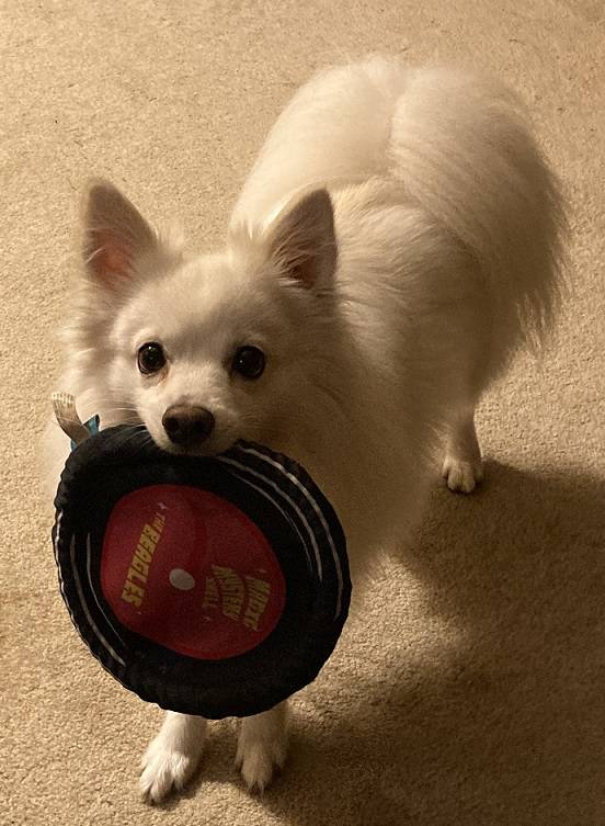 Playtime.JPG