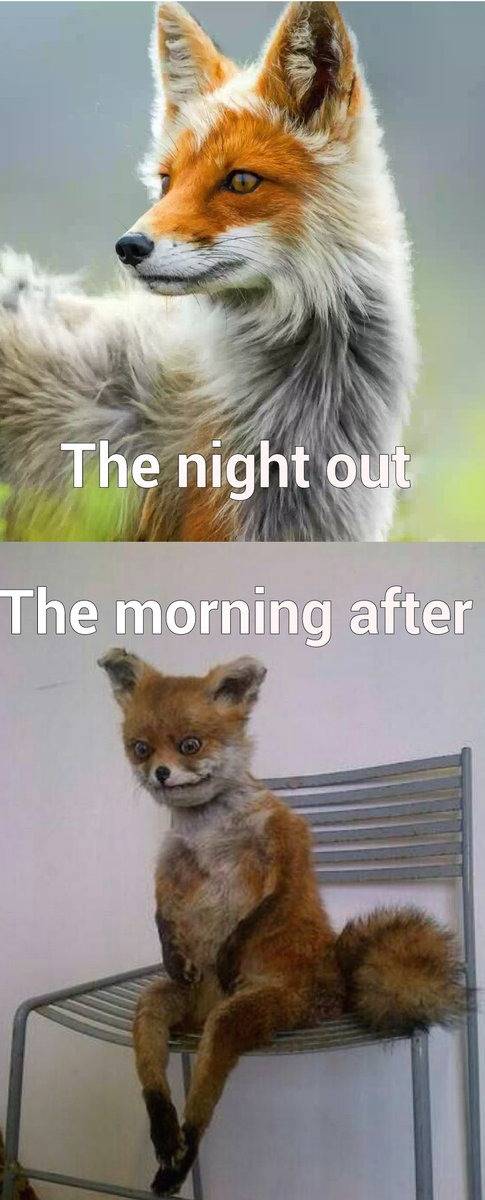 Night Out.jpeg