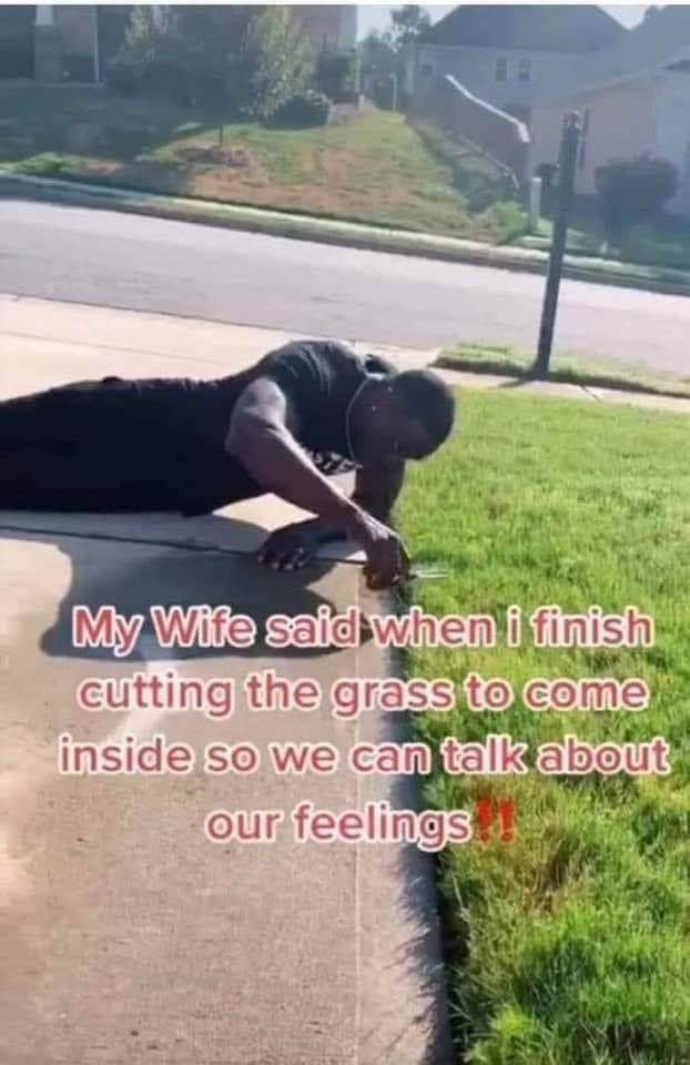Grass.jpg
