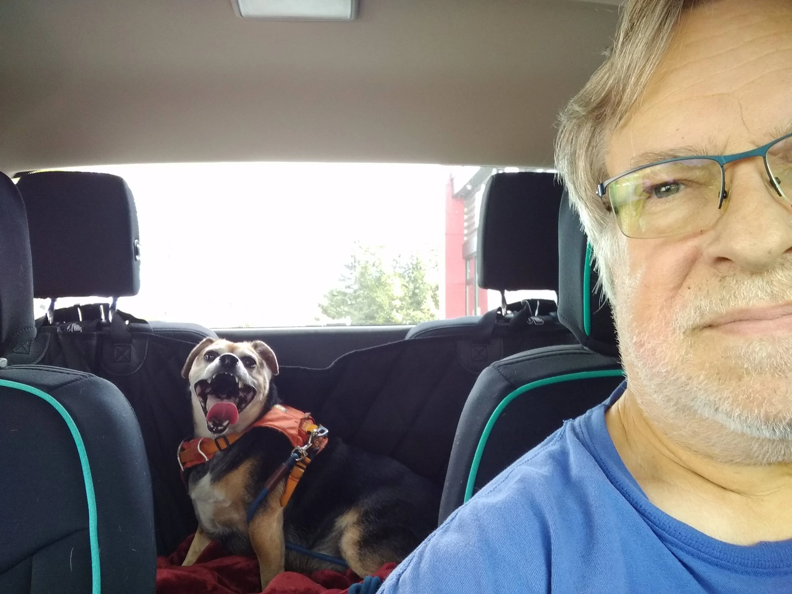 IMG_20230812_153150157.webp