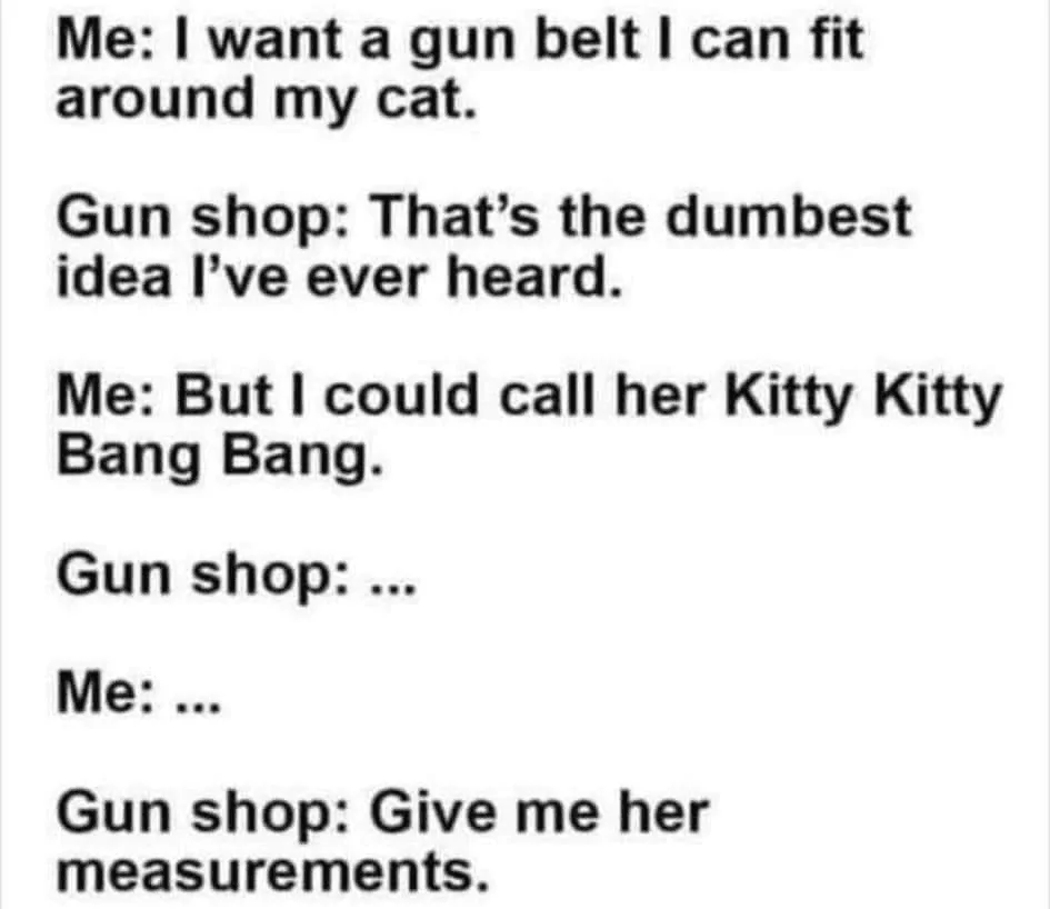 Gun Belt.webp