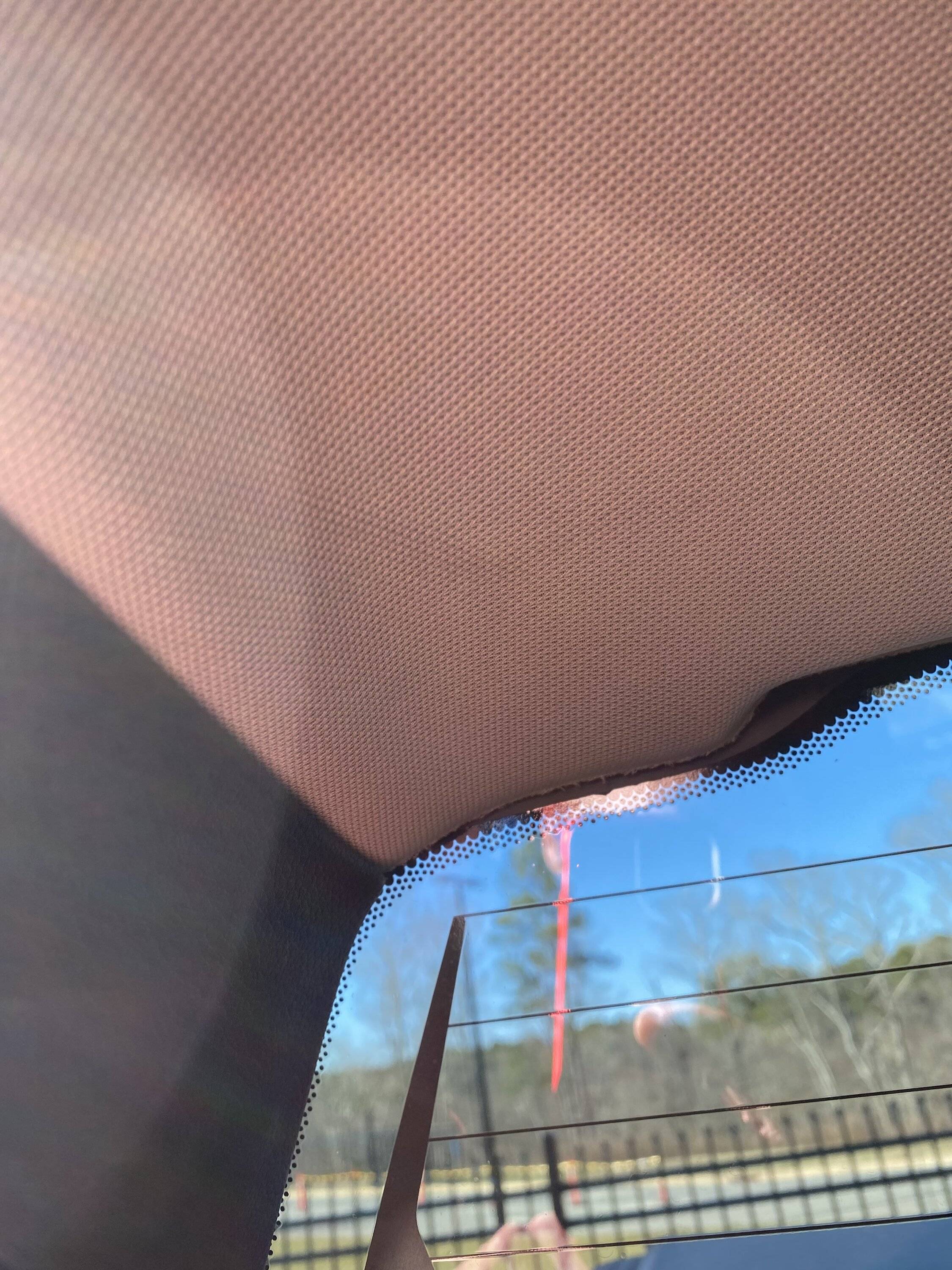 IMG_5518.jpeg