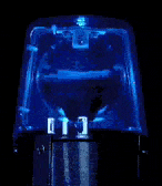 IMG_20231218_145122.gif
