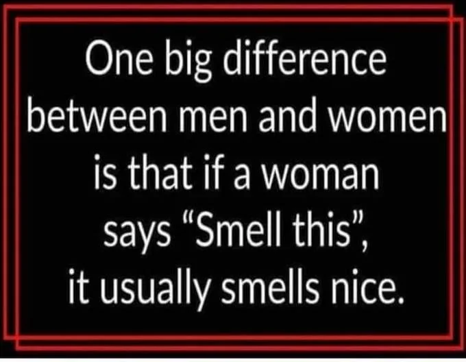 Smell This.webp