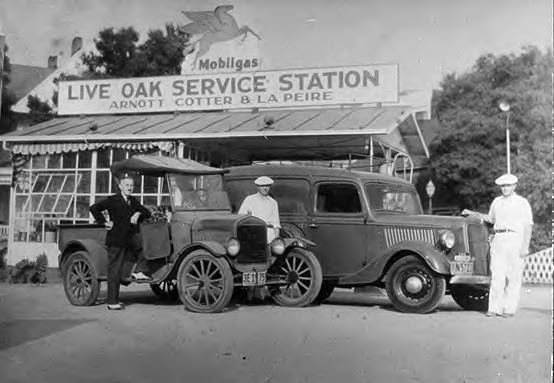 Live Oak.jpg