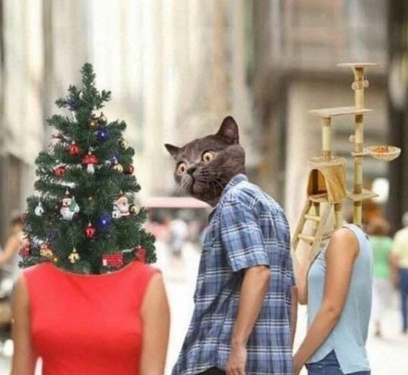 Merry Christmas.webp
