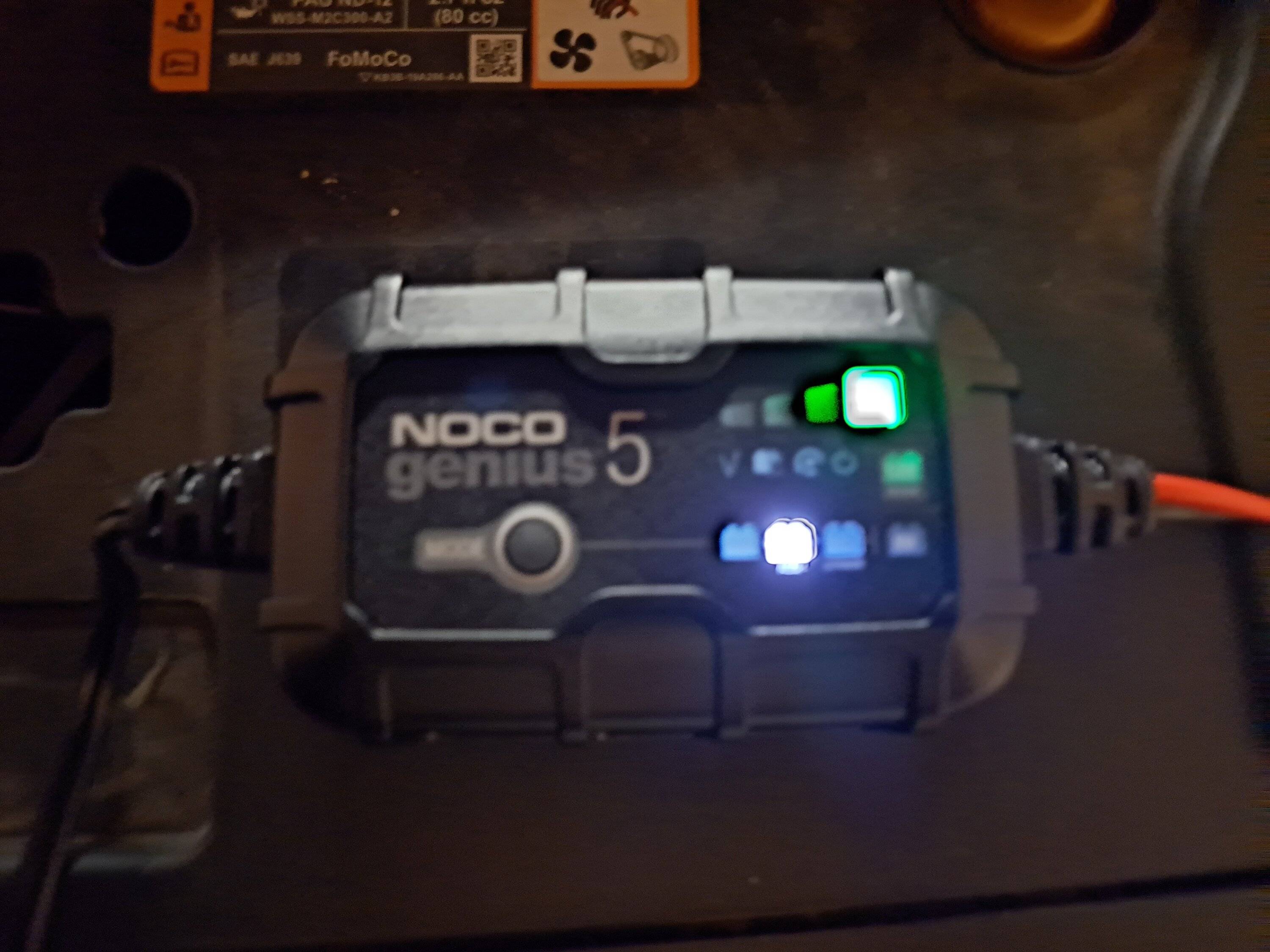 NOCO engaged.jpg