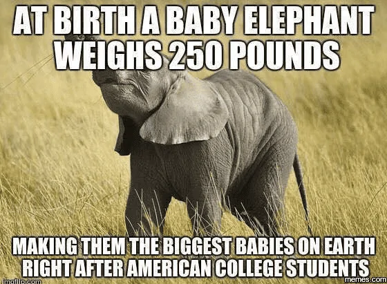 1703831838007.png