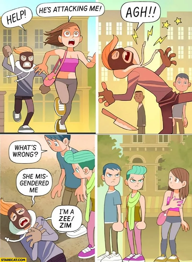lp-hes-attacking-me-whats-wrong-she-misgendered-me.webp