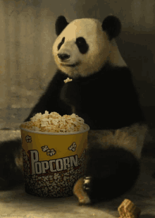 1704150890214.gif