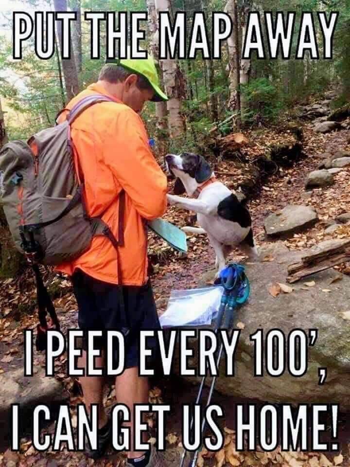 Good Boy.jpg