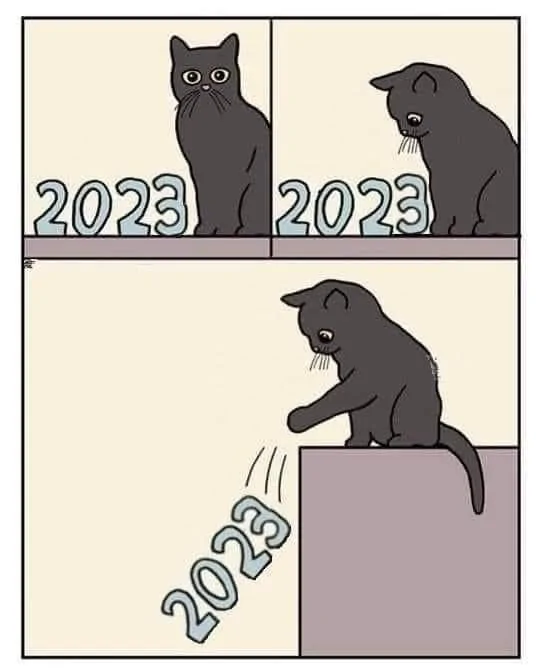 2023 was on a ledge, with a cat.webp