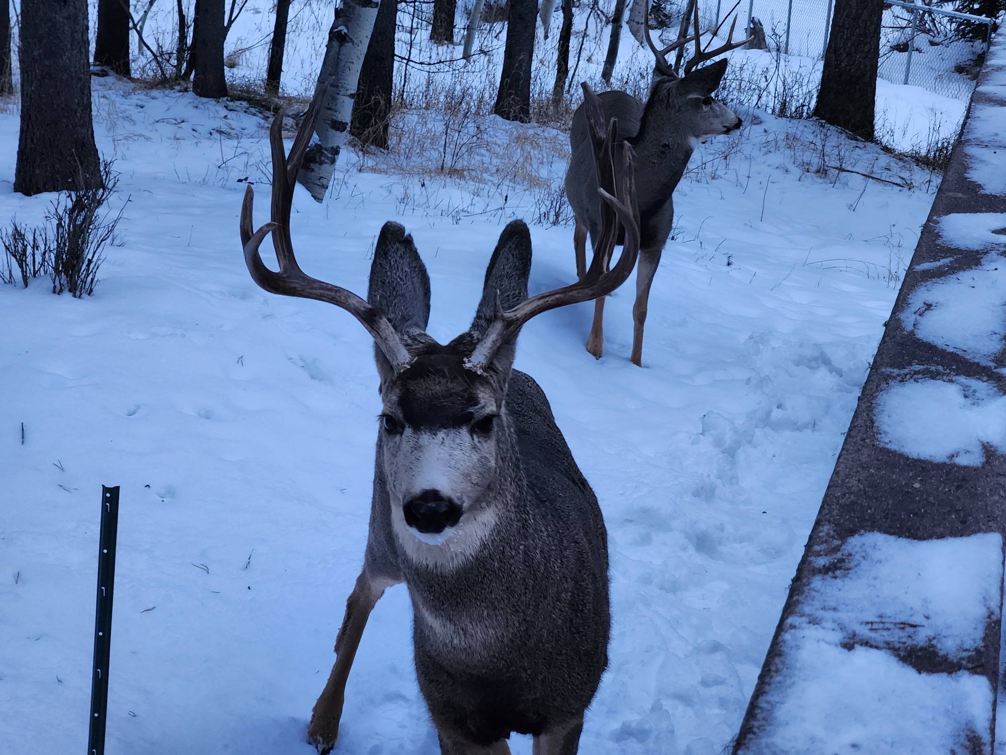 bucks 010624.jpg