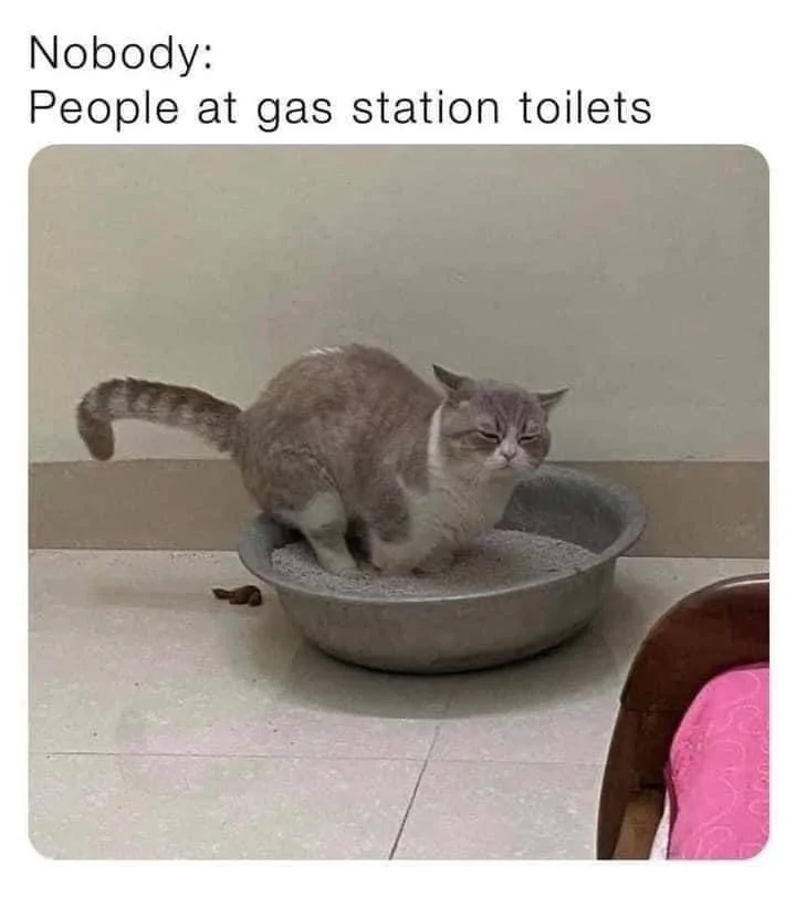 Gas Station Toilets.jpeg