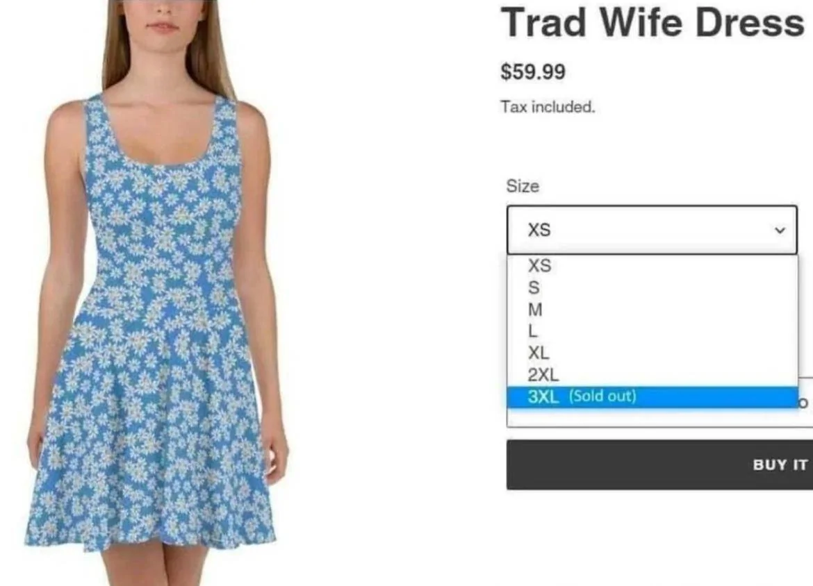Trad Wife.webp