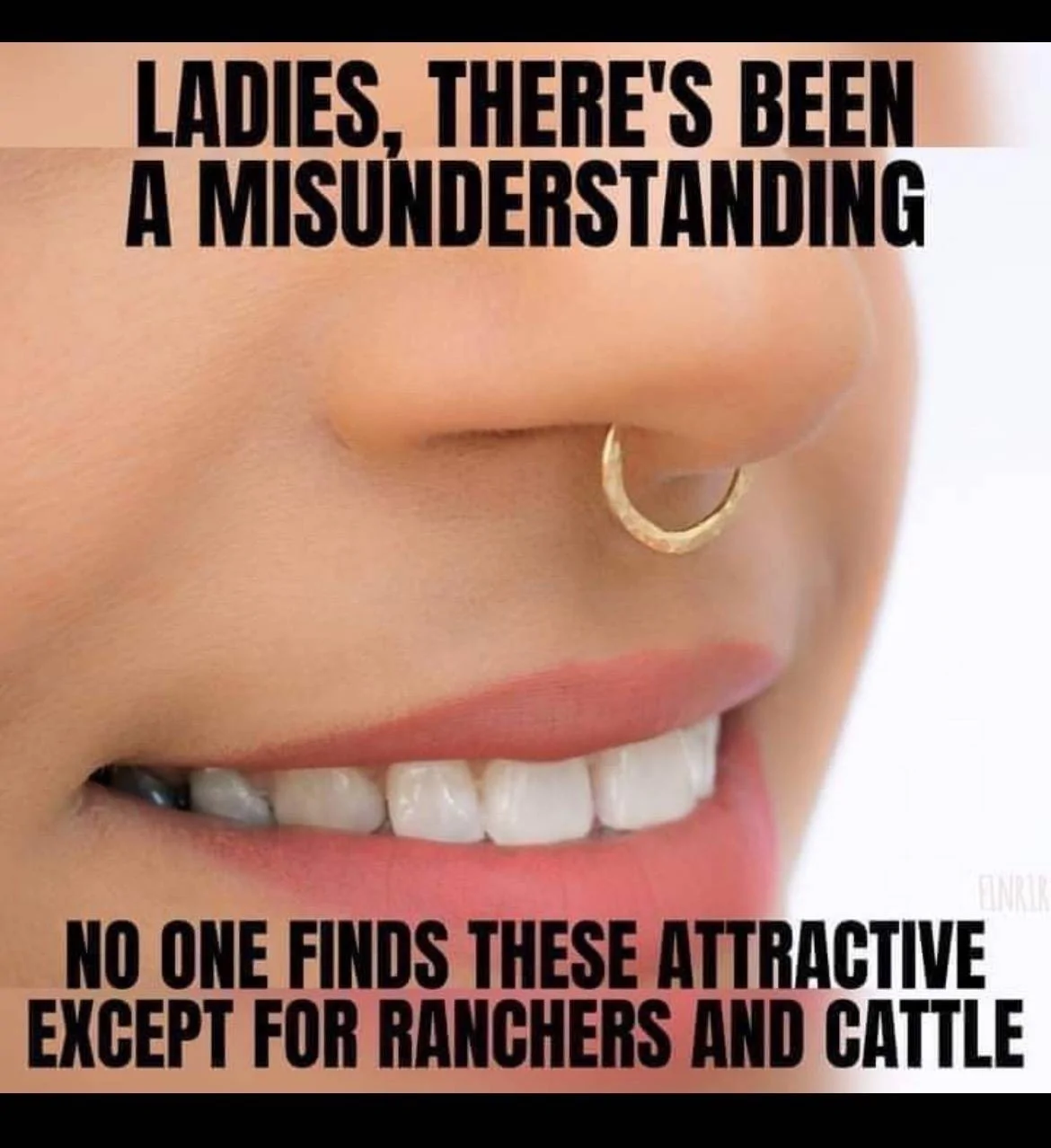 Cattle.webp