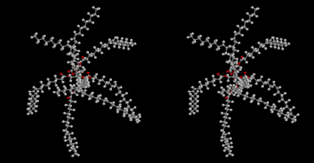 Olestra_stereo_animation.gif